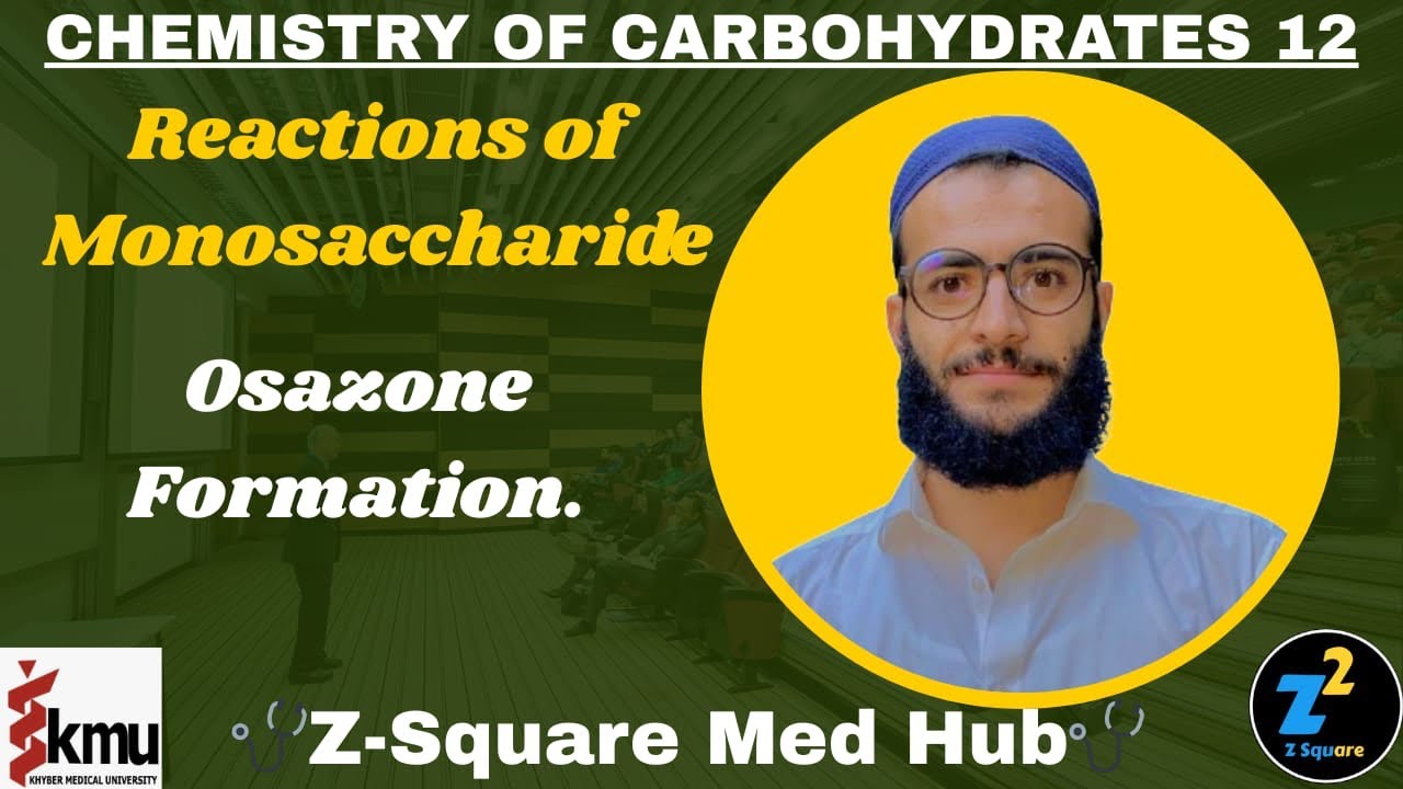 Reactions of Monosaccharide || Osazone Formation || Chemistry of Carbohydrates 12 || ZSquare Med Hub