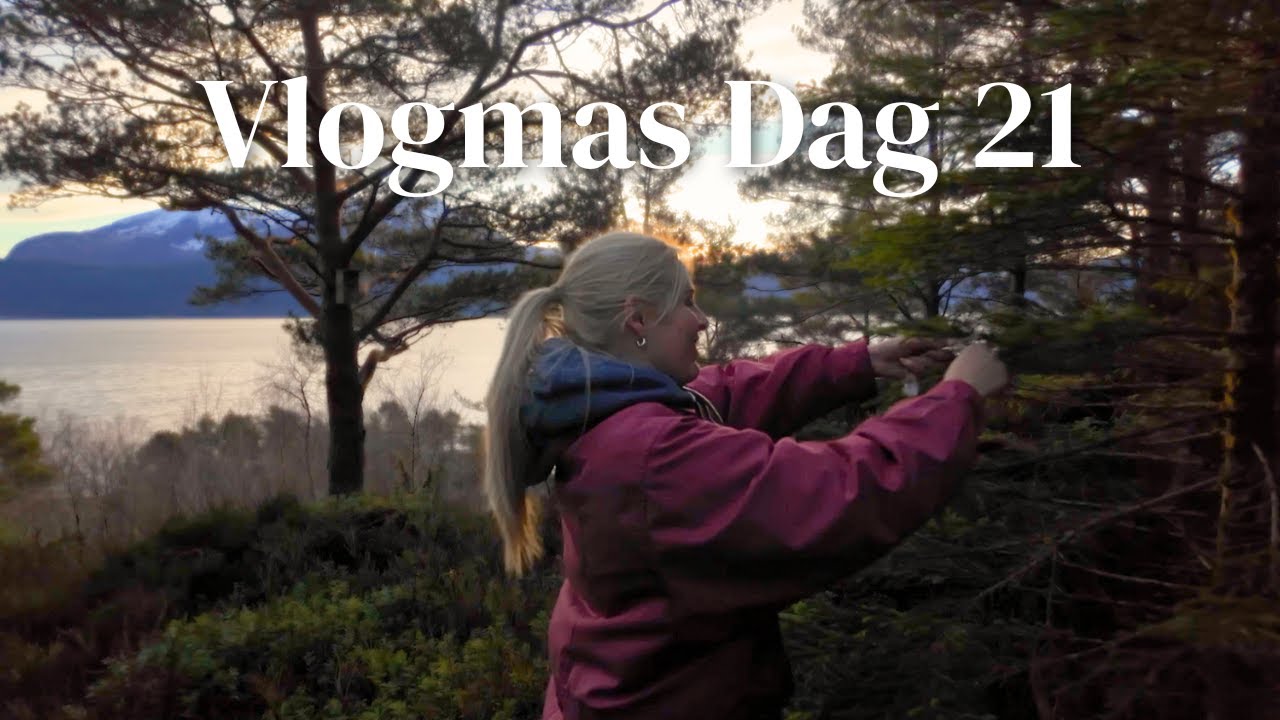 Finner årets juletre 🌲✨ | VLOGMAS DAG 21