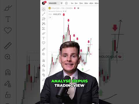 Meilleure application de trading 2024 : notre comparatif complet pour la France