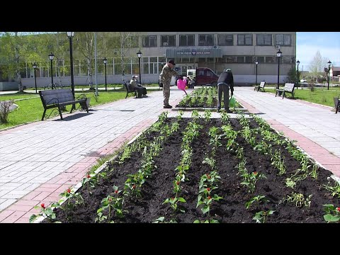 На улицах Серова высадят более 58 тысяч цветов