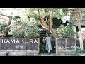 「まるでジブリな世界観🌻夏の鎌倉散策」カフェ/器/古本/レトロ建築/神社/購入品紹介