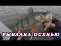 Рыбалка  Поздней осенью! Что Главное? Место или Правильная Приманка!?