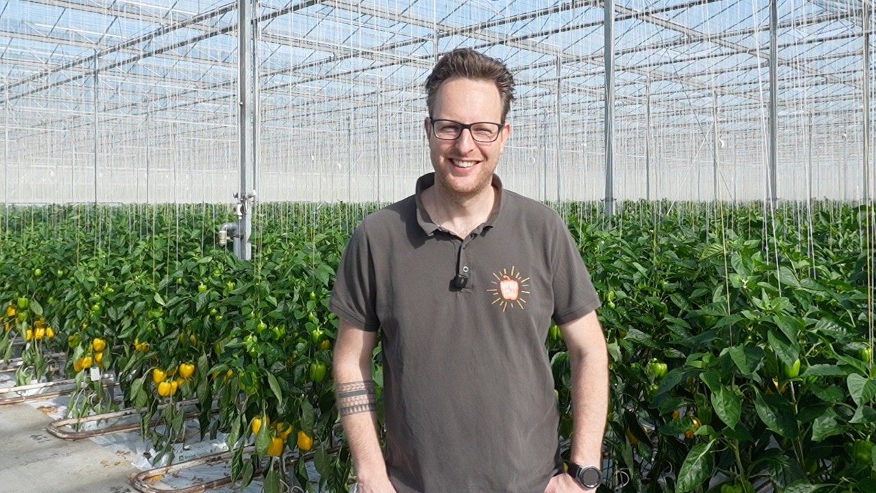 Bakker Sweet Peppers – testimonial