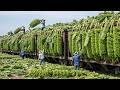 Most Impressive Farming Machines – 31 Harvest Giants Feeding the World in 2025
