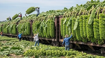 Most Impressive Farming Machines – 31 Harvest Giants Feeding the World in 2025
