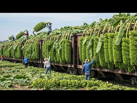 Most Impressive Farming Machines – 31 Harvest Giants Feeding the World in 2025