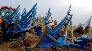 中国一拖YTO东方红2004E带5铧犁 | 约翰迪尔John Deere 1404带4铧犁 | 天津武清冬季翻地 PART 2
