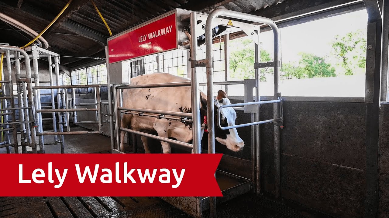 Lely Walkway