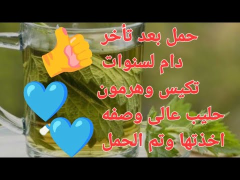 عشبه اقوى من كلوميد تخرجلك أكثر من 8بويضات ناضجين وصالحين للحمل بولد تم الحمل الحمد لله ماما هويدا