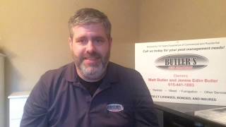Dickson Tennessee Termite and Pest Control - How to recognize termites in your home