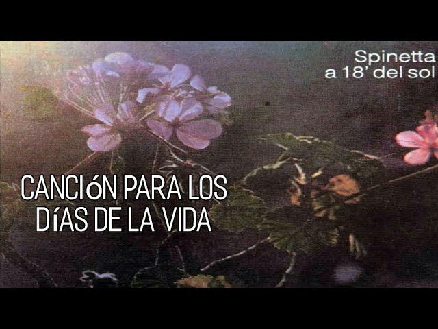 ▷▷▷Acordes Siete Vidas ▷Antonio Flores ▷ ¡Mejor Tutorial en Internet!