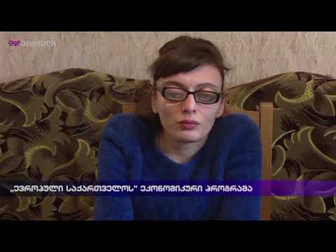 ,,ევროპული საქართველოს\"  ეკონომიკური პროგრამა