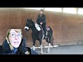 First Time Riding My New Horse At Home Bitless! Day 296 (10/27/20)