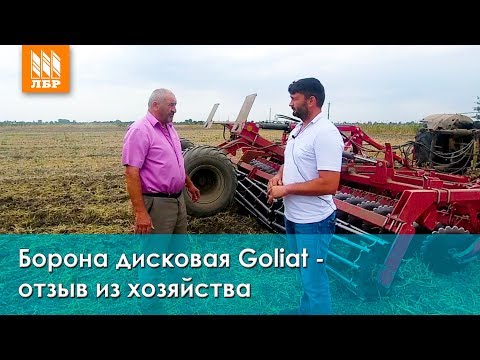 Video: Posel V Pokrajini