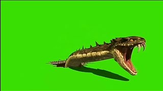 Greenscren effect Ular snake dragon | Ular Keluar Dari Tanah || ular naga