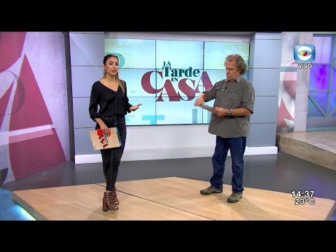 LA TARDE EN CASA | 25-11-2020
