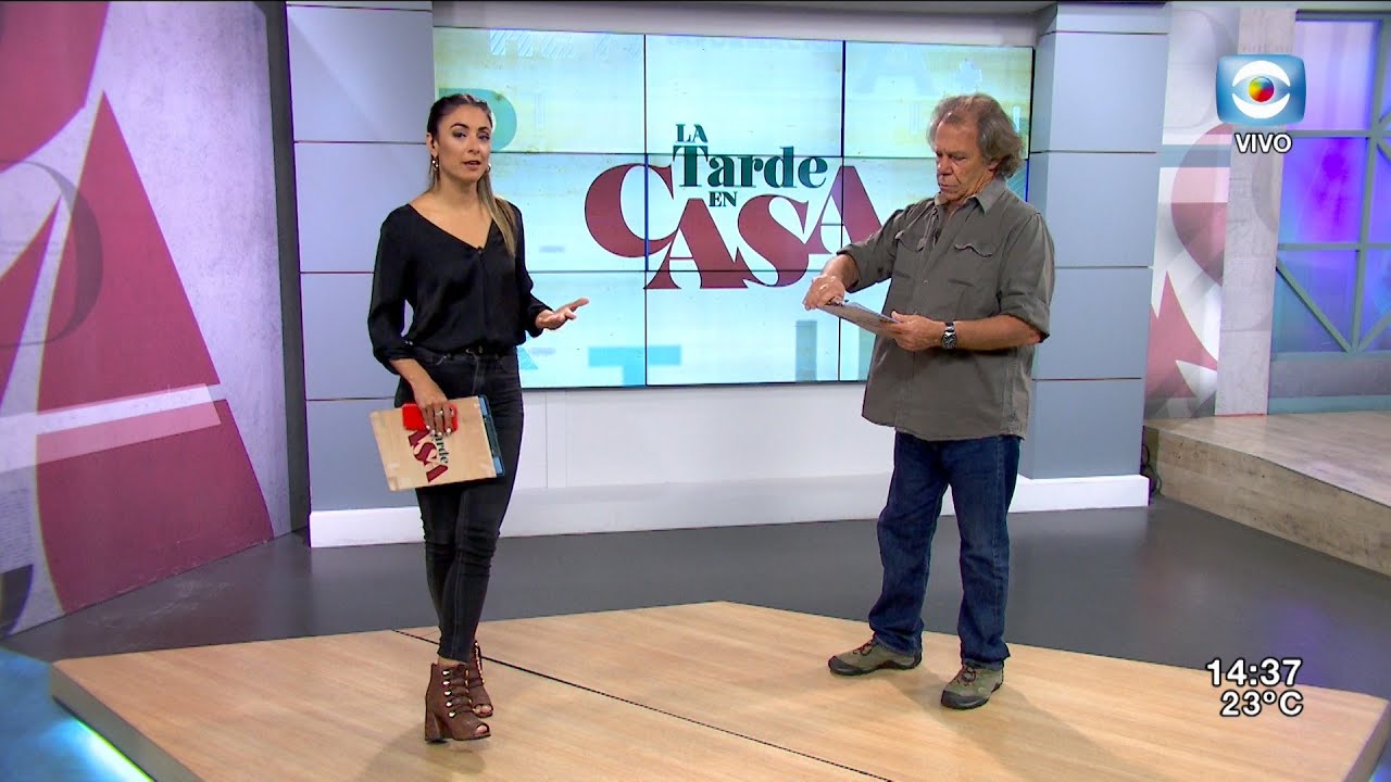 LA TARDE EN CASA | 25-11-2020