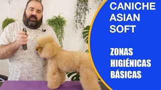 Cómo cortar el pelo a un caniche de las zonas higiénicas con máquina de peluquería canina by PelaPel tv Peluquería Canina 240 views 6 days ago 3 minutes, 8 seconds