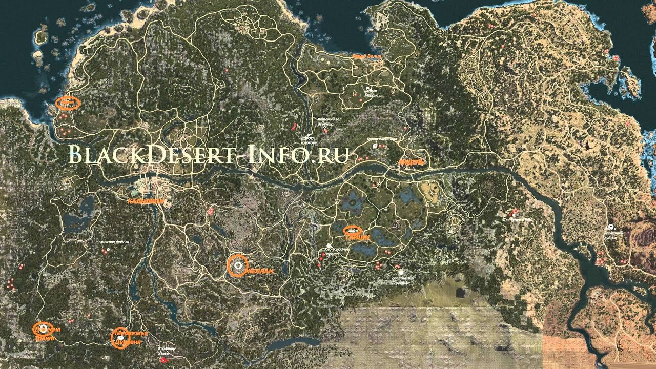 Карта спотов лошадей бдо