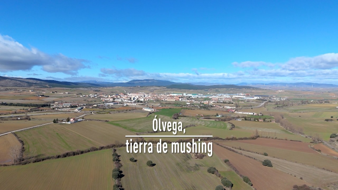 T13/E26: Ólvega, tierra de mushing