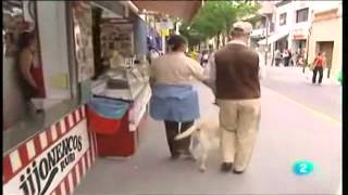 Primer Da De Un Perro Gua