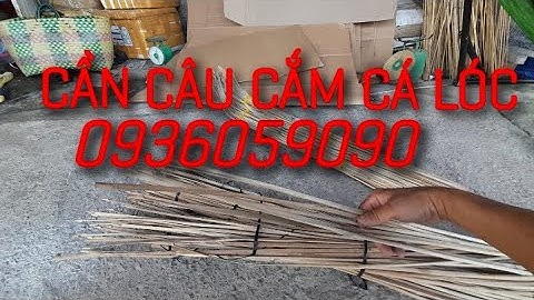 Cần câu cắm chưa tóm dây và lưỡi 0936059090..