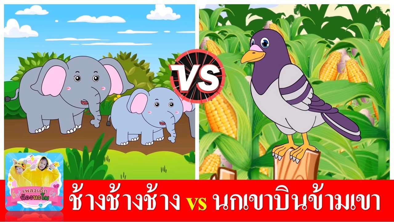 ช้าง ช้าง ช้าง น้องเคยเห็นช้างหรือเปล่า vs นกเขาบินข้ามเขา ไม่ใช่นกเราเฝ้าแต่แลมอง