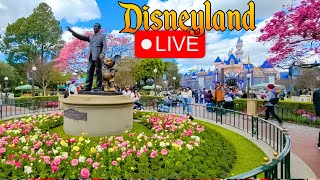Famous 🔴 Get Your Disney Fix Here Net Worth