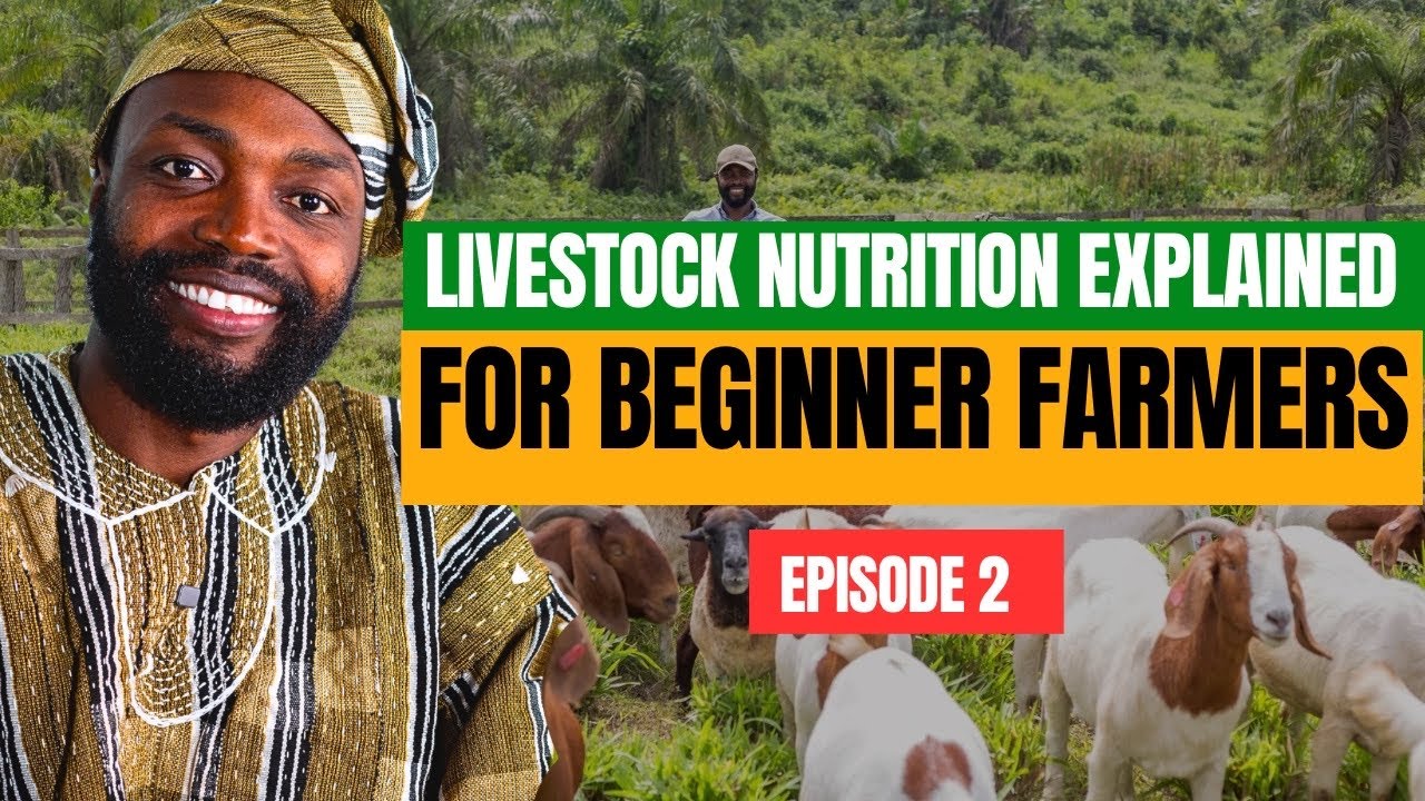 Три важнейших питательных вещества, необходимых вашим животным, и самый простой способ их получить.