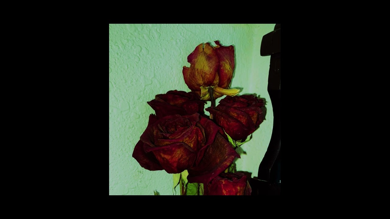 Roses Look Better Dead