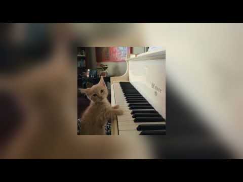 Moonlight On The River Mac Demarco Sped Up 