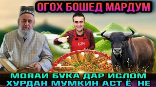 БИНЕД ХОЧИ МИРЗО ЧИ МЕГУЯД ДАР БОРАИ ХУРДАНИ МОЯАИ БУКА МУМКИН АСТ Ё НЕ