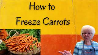 BEST AND EASY WAY TO FREEZE FRESH CARROTS