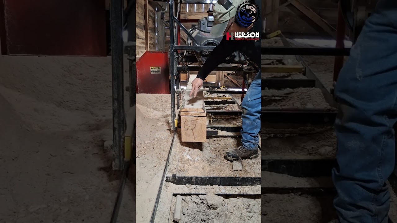 Hickory spring board! #adirondacks #springboard