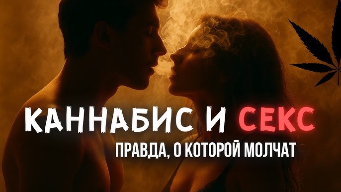 Сами Помодори порно ағындары