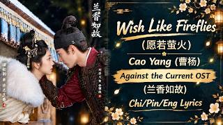 Wish Like Fireflies (愿若萤火) - Cao Yang (曹杨) | Against the Current OST (兰香如故) | Chi/Pin/Eng Lyrics