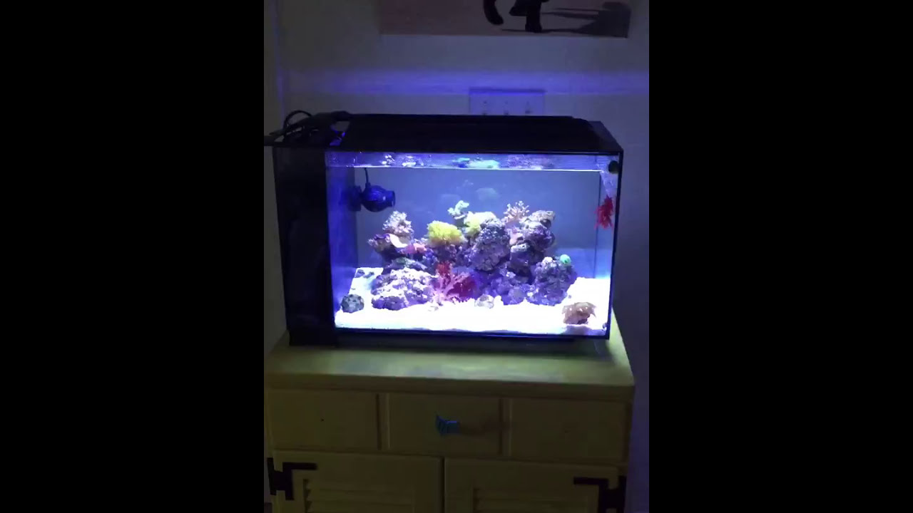 FLUVAL Evo Sea 13.5 All in One (described below)*See new