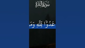 تلاوة نادرة من المصحف المرتل المفقود للشيخ محمد صديق المنشاوي سورة البقرة