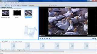 How to Capture Image from Video in Windows Movie Maker screenshot 4