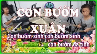 Con Bướm Xuân - Hòa Tấu Nhạc sống Có lời - PHONG BẢO Official