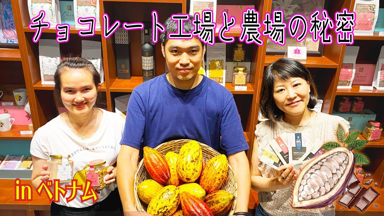 【カカオからチョコレートができるまで】世界が注目！ベトナム産チョコレートの魅力を徹底解説！カカオ農園とチョコレート工場にいってきました