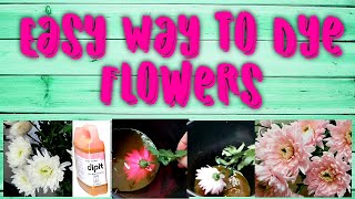 Easy Way To Dye Flowers | Dipit Easy Floral Dye