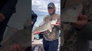 Jigging Lake Erie Walleye. Buffalo, NY
