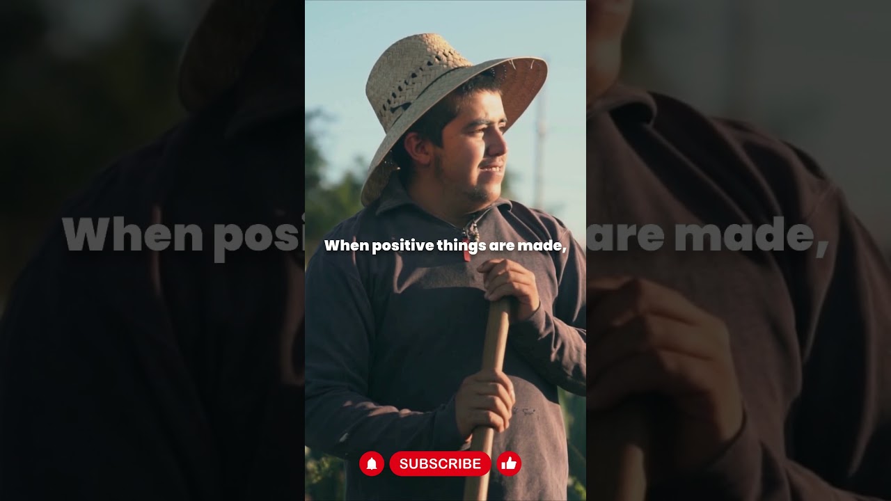 The Cycle of Positivity: Understanding Karma's Influence  