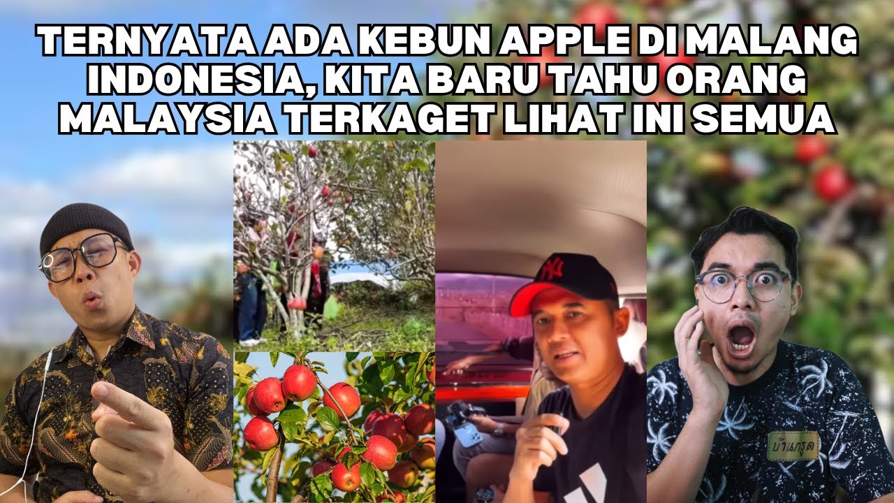 TERNYATA ADA KEBUN APPLE DI MALANG INDONESIA, KITA BARU TAHU ORANG MALAYSIA TERKAGET LIHAT INI SEMUA