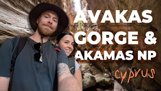 Ущелье Авакас и купальни Афродиты 🇨🇾 | Приключения на полуострове Акамас (видеоблог о путешествии)