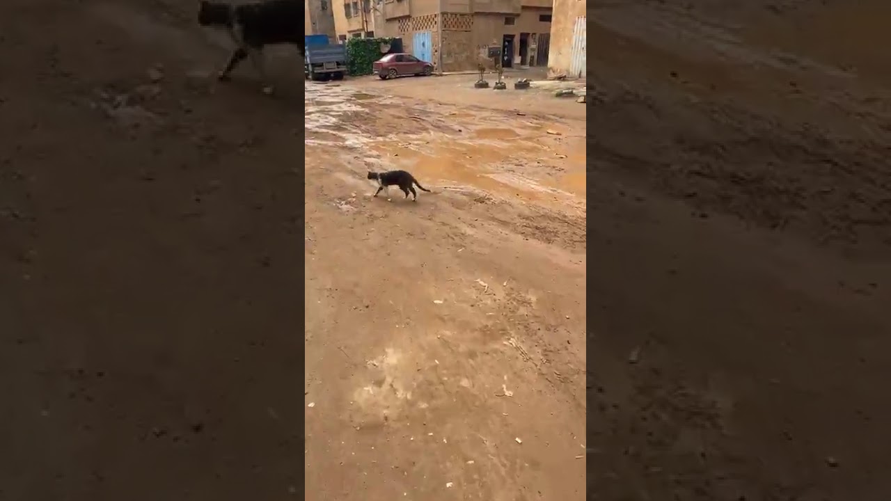 مباشرة من كازا ... صدق أو لا تصدق ساكنة مجمع سكني بالسلام 2 معندهمش الشانطي والأرض كلها غيس