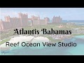 Reef ocean view studio  atlantis bahamas