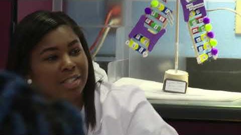 PLPs – Developing a Lesson Sequence