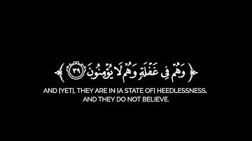 كروما شاشة سوداء قرآن كريم 🌿تلاوة من سورة مريم  🌿القارئ محمد بن خالد المبارك 🌿